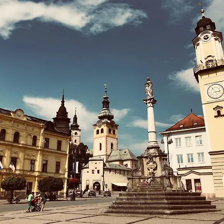 Bl - The Apartment Lenka, 24Hr Self Check-In, Free Private Parking, Balcony With Mountain View, 5 Minute Walk To City Center Banská Bystrica Esterno foto