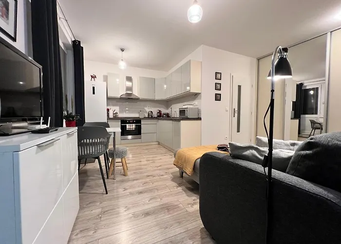 Bl - The Apartment Lenka, 24Hr Self Check-In, Free Private Parking, Balcony With Mountain View, 5 Minute Walk To City Center