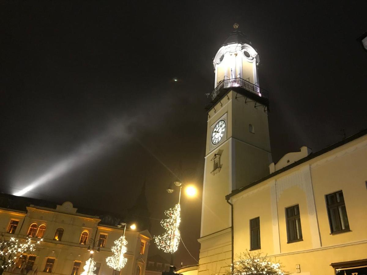 Bl - The Lenka, 24hr Self Check-in, Free Private Parking, Balcony With Mountain View, 5 Minute Walk To Center *