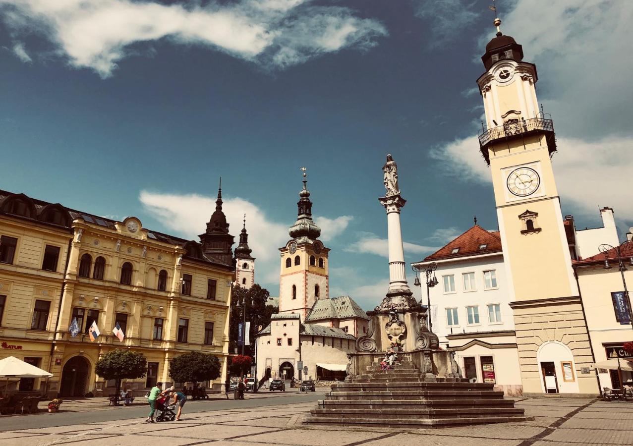 Bl - The Lenka, 24hr Self Check-in, Free Private Parking, Balcony With Mountain View, 5 Minute Walk To Center * Banska Bystrica