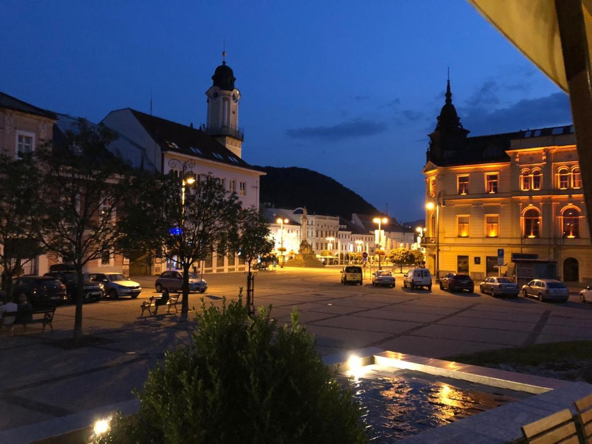 Bl - The Lenka, 24hr Self Check-in, Free Private Parking, Balcony With Mountain View, 5 Minute Walk To Center *